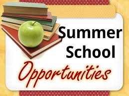 Summer School Opportunities